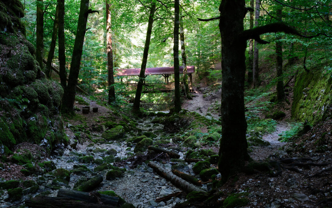 Taubenlochschlucht