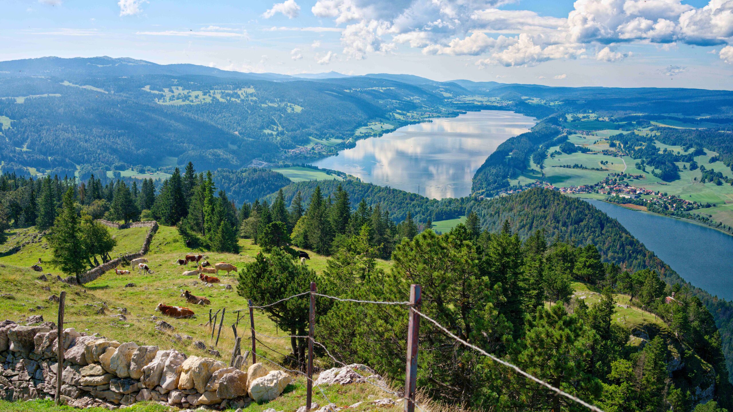 WP_mamxzuber 001-9